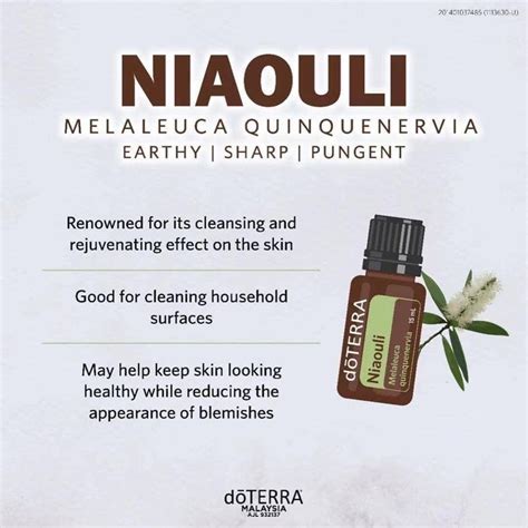 Doterra Niaouli Ml Limited Edition Furniture Home Living Home