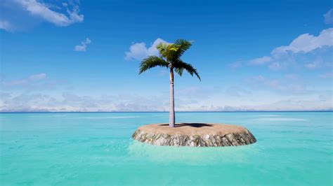 A Palm Tree On Tropical Island Surrounded Stock Motion Graphics SBV Storyblocks