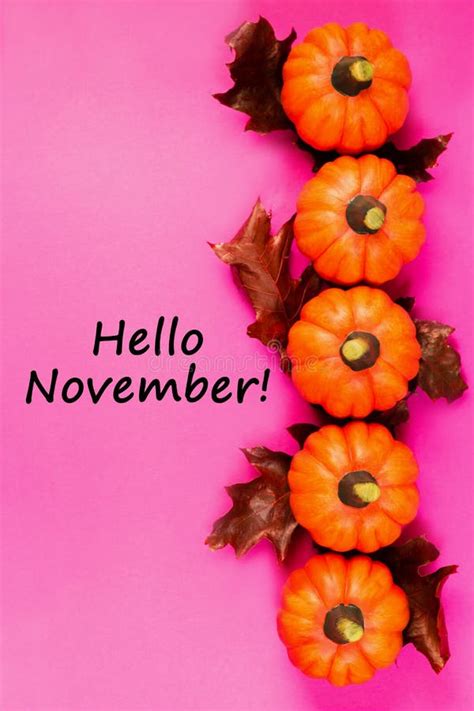 Autumnal Background Text Hello November Stock Photo Image Of Trendy
