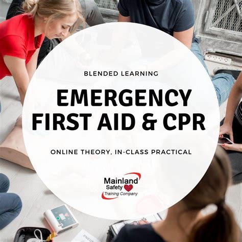 Blended Learning Emergency First Aid And Cpr Course I Online Theory