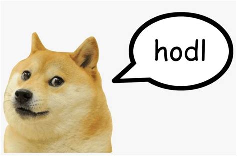 Angry Doge Meme Transparent 10lilian