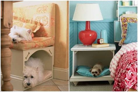 5 Spaces That Your Pets Will Be Happy To Have