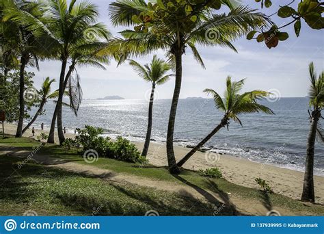 Beach Vacation Palm Trees Sea Ocean Wavas And Sunshine Paradise Stock