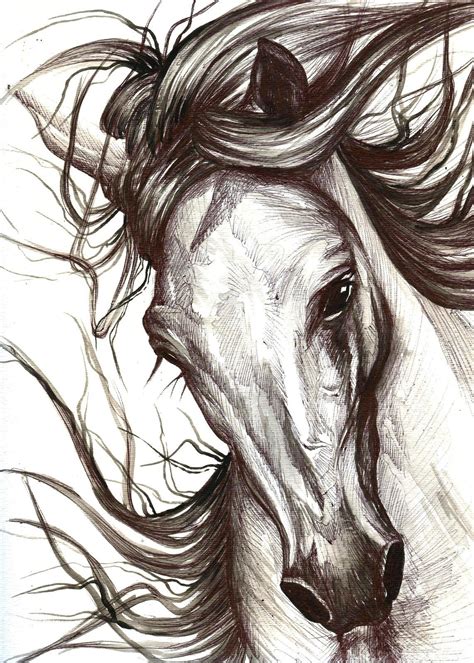 Beautiful Horse Horse Art Drawing Horse Art Print Horse Drawings