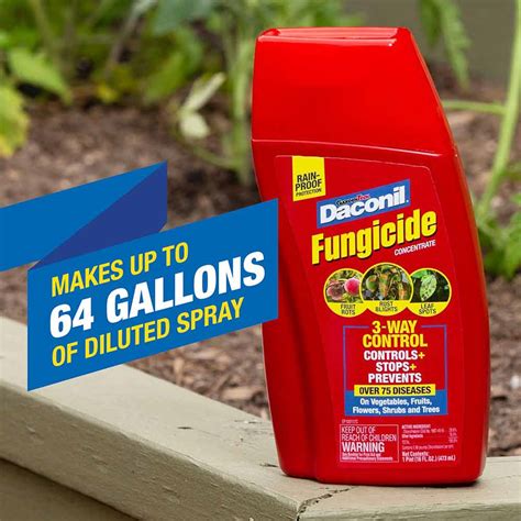 Keep Fungal Disease Out Of Your Garden Daconil Fungicide Contentrate
