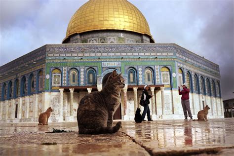 Did Unesco Deny That The Temple Mount Had Jewish Temples Live Science