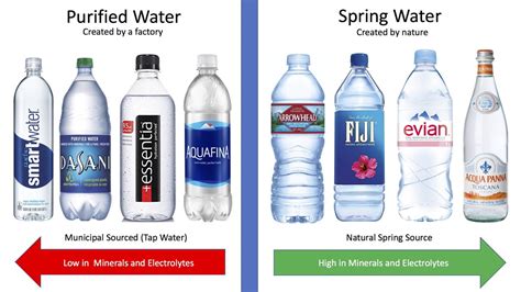 purified water vs spring water