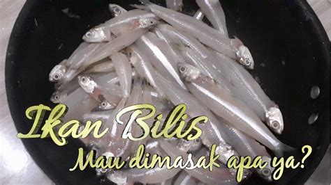 Ikan Bilis Segar Goreng