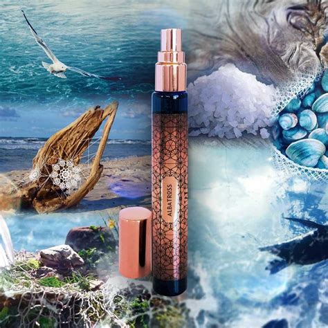 albatross artisan perfume best aquatic marine fragrance for men and women marine albatross