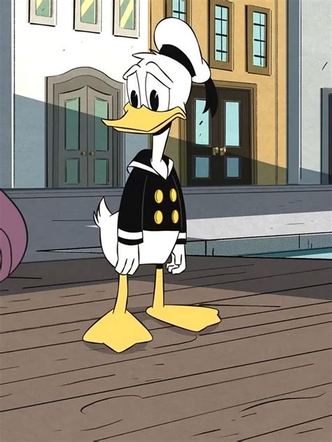 Ducktales2017 Donald Duck 2 By