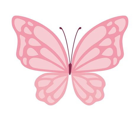 Lindo Dise O De Vector De Mariposa Rosa Vector En Vecteezy