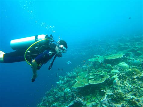 A Complete Guide To Scuba Diving In Maldives What To Look Forward To