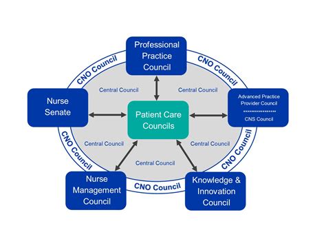 Shared Governance Structure The Metrohealth System