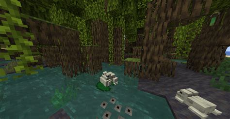 How To Tame Frogs In Minecraft Dot Esports