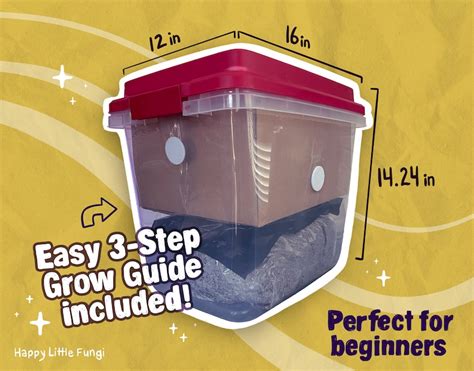 Reusable Mushroom Grow Kit For Beginners Etsy