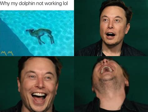 Elon Musk and dead deer | Smotri