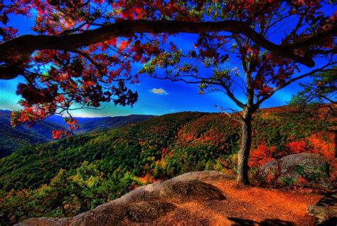 25 Breathtaking Examples Of Nature Photography Autumn Landscape