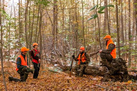 Hunters Urged To Wear Orange The Mountain Times