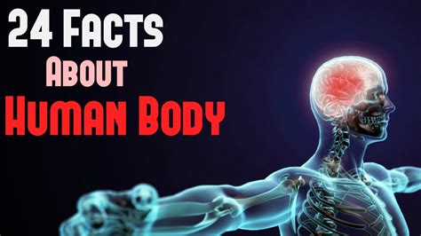10 facts about human body