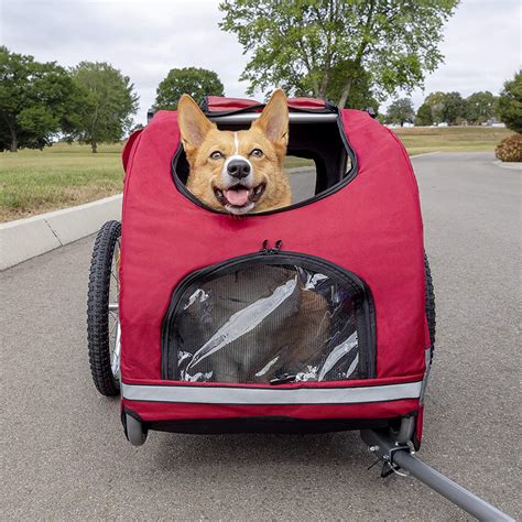 12 Of The Best Dog Bike Trailers That Let You Bring Fido Along For The