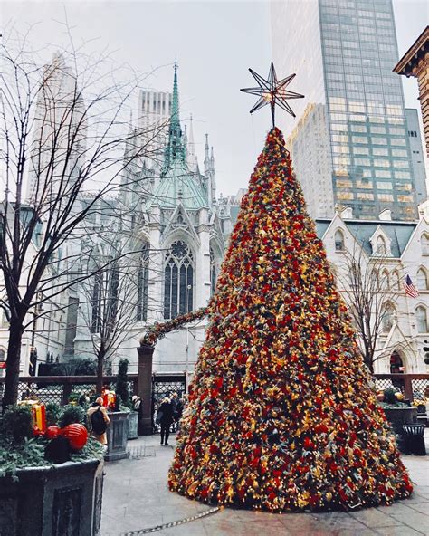 How Many Of The Best Christmas Trees In Nyc Have You Seen Sure There