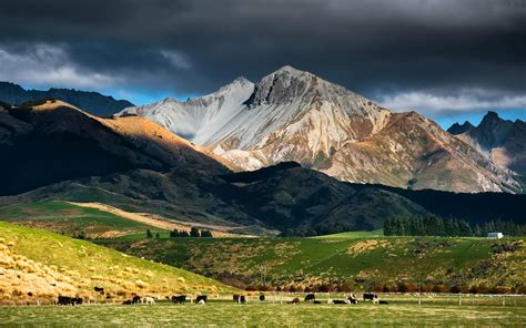 New Zealand Landscape Rock Mountain Snow Pasture With Green Grass