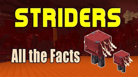Minecraft Striders Mob All The Facts Minecraft Tutorial Youtube