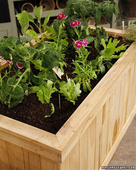 How To Grow A Successful Container Vegetable Garden