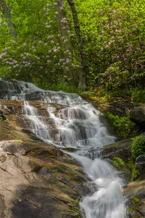 Blue Ridge Parkway Virginia Waterfalls And Rhododendrons