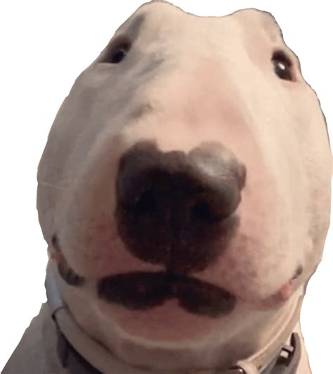 Le Smiling Walter Has Arrived Rdogelore
