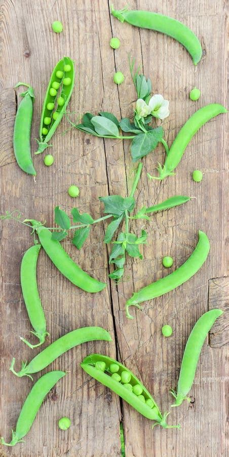 Green Pea Pods Branches With Flowers And Leaves On Wooden Surface