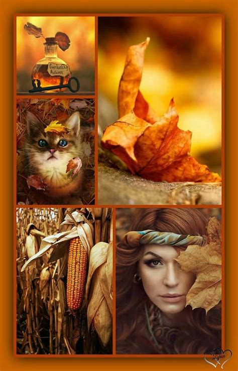 Fall Colors Mood Inspiration Color Collage Beautiful Collage