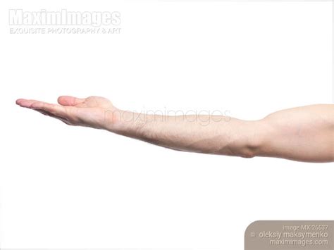 Photo Of Man Arm With Open Palm Facing Up Stock Image Mxi26537