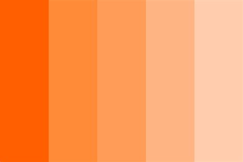 All About Color Apricot Color Codes Meaning And Pairings