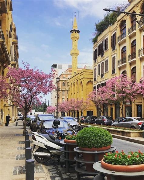 صور ساحرة لوسط العاصمة بيروت الوردي يليق بها