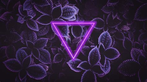 Wallpaper Triangle Neon Purple Photoshop Technology Leaves Dark 2090x1175 Feindflug