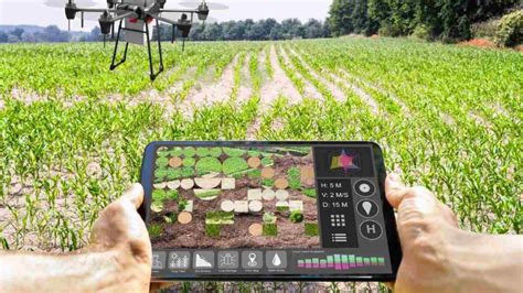 Artificial Intelligent Powered Precision Farming Can Change Food Industry