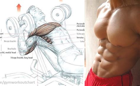 4 Things You Can Do To Improve Your Chest Workout And Build A Bigger