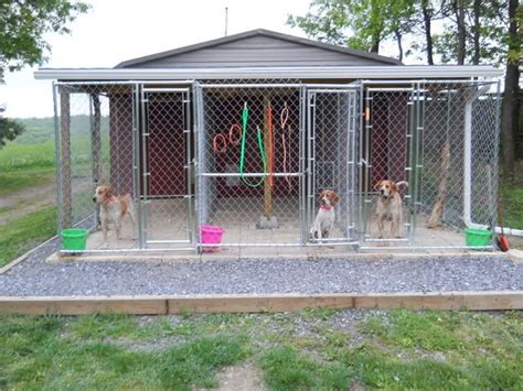 Dog Kennel Roof Ideas Bought 2 Kennels And Set Them Apart So All I Had