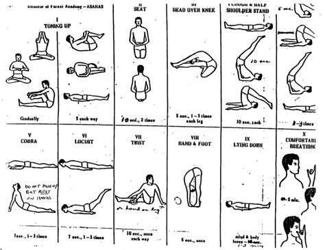 Ananda Marga Yoga Asanas Chart - Asanas Bilder Zeichnungen - Best Style News and Inspiration