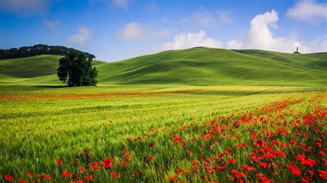 37 Summer Landscape Wallpaper On Wallpapersafari