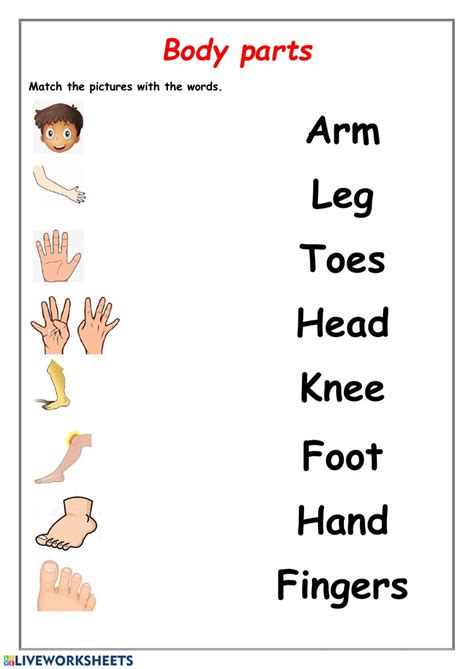 Look at the worksheet and description and decide which one to print. Body parts activity for 1