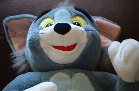 Chased by tom and his cronies, jerry must find the toymaker and get help to win his kingdom back before sunrise when. Cat Stuff Toy/Tom Plush Toy/Warner Bros Studio Store/Tom ...