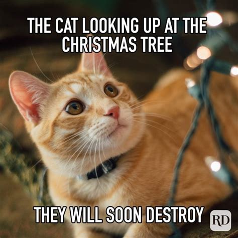30 Funny Christmas Memes 2023 Readers Digest