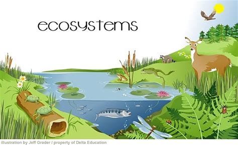 Habitat was one of the first successful online roleplaying games. all @bout biology: What is an ecosystem