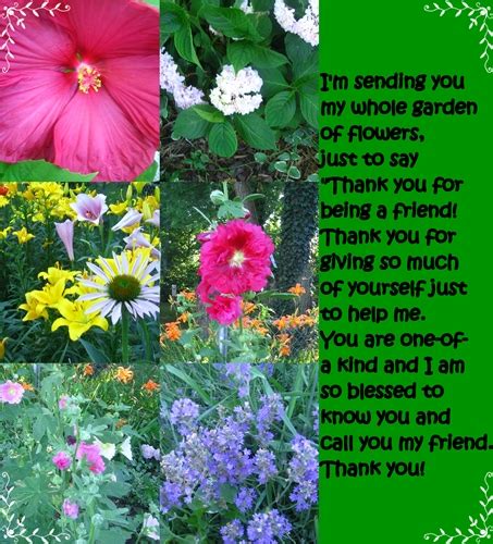 Thank You For Being My Friend Free Friends Ecards Greeting Cards