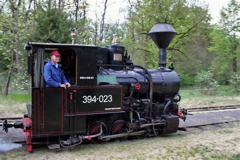Gyerekkoromban a kis piros vonatot, a nem fő vasúti vonalakon járó vonatot zsuzsi vonatnak hívták. Zsuzsi Erdei Vasút | Sulitúra