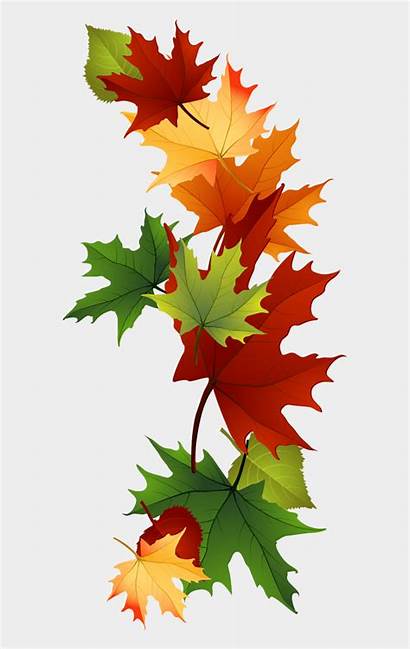 Leaf Clipart Leaves Autumn Clip Fall Maple