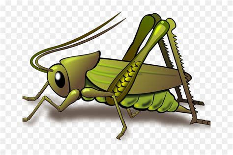 Cricket Bug Clipart Free Clipart Cricket Dux Phoenix Cricket Insect