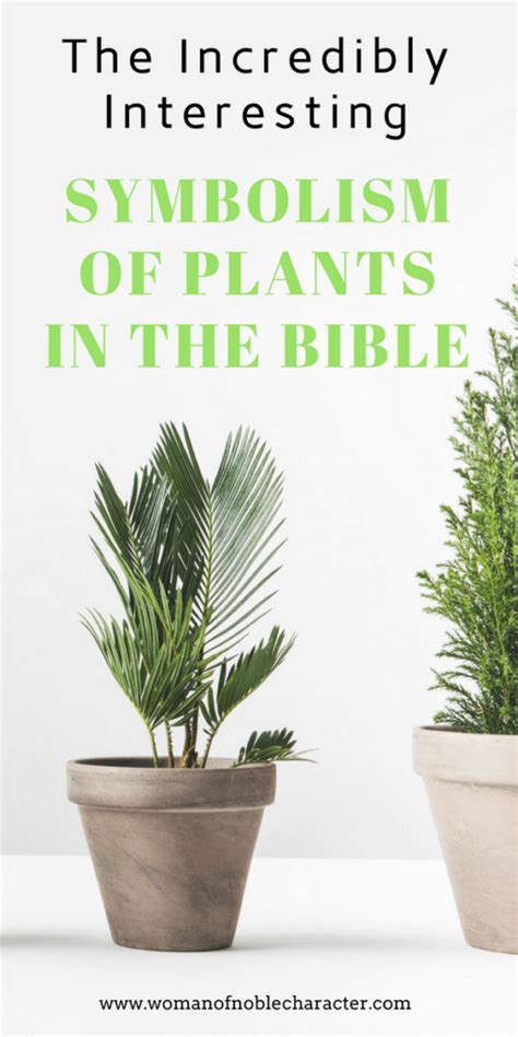 Symbolism Of Plants In The Bible What Plant Bible Symbolism Means